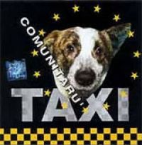 Taxi - Comunitaru