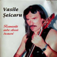 Vasile Seicaru - Romanta intre doua trenuri