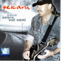 Vasile Seicaru - Pana seara, voi veni