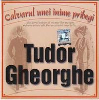 Tudor Gheorghe - Calvarul unei inime pribegi