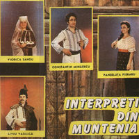 Muzica artisti celebri - Interpreti din Muntenia