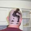 Hair Styles