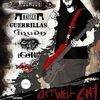 Concert `Get Well CHI` la Cluj