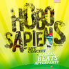 Concert Hobo Sapiens la Timisoara