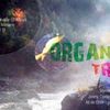 Organic Trio in Art Jazz Club