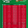 Euro 2008, fotbal si concerte in Piata Constitutiei din Bucuresti