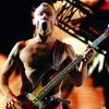 Justice - producatori pentru Red Hot Chili Peppers