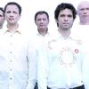 Proconsul