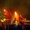 Bere Gratis - concert