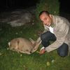 Arash