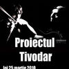 Proiectul Tivodar in concert