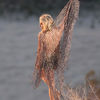 Kesha, filmari videoclip Your Love Is My Drug