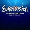 Turcia sustine Romania la Eurovision 2010