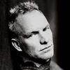 Sting a ajuns la Bucuresti