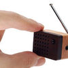 Motz Radio FM - cel mai mic radio fm din lemn!