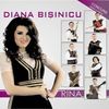 Diana Bisinicu lansare album Rina