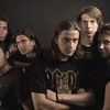 Heal – Umbra