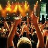 Concerte 2011