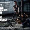 Tokio Hotel lupta pentru eliberarea animalelor din circuri (video)