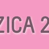 Muzica 2011, muzica noua 2011