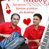 Fratii Milos