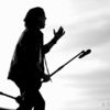 Scorpions live