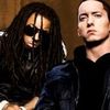 Lil Wayne si Eminem, inscrisi in Cartea Recordurilor
