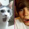 Bieber si pisica