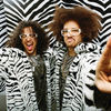 Hot new: LMFAO - Sorry for Party Rocking (videoclip)