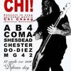 Concert caritabil pentru Chi Cheng (basistul trupei Deftones)