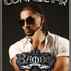 Concert Connect-R in Bamboo Mamaia