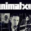 Animal X sarbatoresc 13 ani printr-un concert in club Tribute