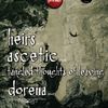Post-rock night cu HEIRS, Ascetic, Tangled Thoughts Of Leaving si Dorena in Panic!