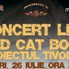Impreuna pentru Daniel: concert caritabil cu Red Cat Bone si Proiectul Tivodar la Hard Rock Cafe