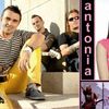 Antonia, Vunk, Bandidos si Cristi Nistor canta in scop caritabil la Hard Rock Cafe
