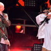 Eminem & Rihanna - The Monster live @ MTV Movie Awards 2014 (video)