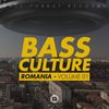 Download Bass Culture Romania - Volume One (compilatie)