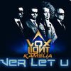 Download Voxlight feat. Kamelia - Never Let U Go (Dj Asher & ScreeN Remix)