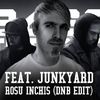 Download Bass Turbat feat. Junkyard - Rosu Inchis (Drum & Bass Edit) 
 