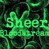 Ed Sheeran si Rudimental au lansat remix-ul piesei "Bloostream" 