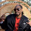 Snoop Dogg a fost arestat in Suedia 