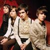 Panic At The Disco a ramas cu doi componenti