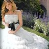 Aracely Arambula