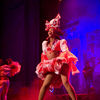 Poze Pasion de Buena Vista