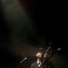 Tiger Lillies