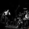 Tiger Lillies