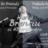 Concert Horia Brenciu in Club Tribute din Bucuresti
