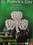Spectacol de Ziua Irlandei  St. Patrick`s Day