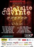 Concert aniversar Celelalte Cuvinte la Centrul Cultural Reduta
