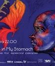Concert Butterflies In My Stomach in Club B52